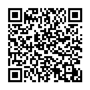 皇甫昕目光所及之处抬起小臂一指站在前排看热闹的李川二维码生成