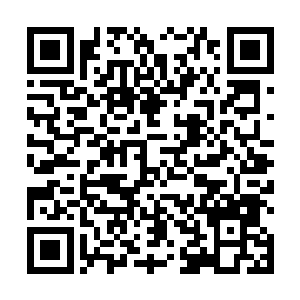 皇陵失火一案凤君泽是不是将此事交由给唐丞相来办了二维码生成