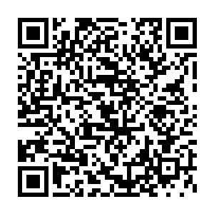 皮匠和严老大井木犴这些人听到云二他们并没有太大的野心的时候二维码生成