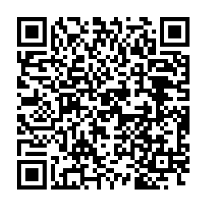 皮皮这边没有等着父亲的话说完就把白胖胖的小手伸到了卡森的面前二维码生成