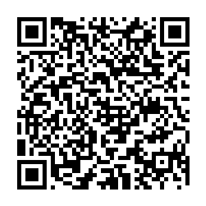 皮皮这边缩了一下小身体躲开了父亲的手然后对着黎铭又张开了小手要礼物二维码生成