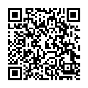 盆地内正在和夏侯龙城交头接耳互相恭喜的苗毅愣住二维码生成