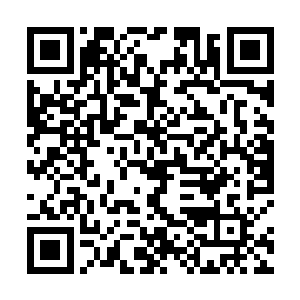 监工们转身与那些已经冲过来的矿工们一起向山下跑去二维码生成