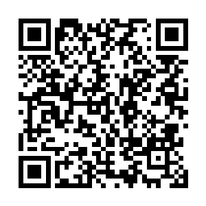 盒子里淡青色的水云缎上绣着低调而精致的银色芍药花纹二维码生成