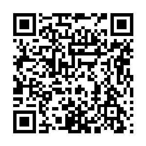 盔甲男告诉他这里的确有当初出来时所闻到的那股海水腥味二维码生成