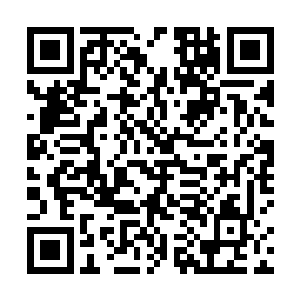 盖因前些日子我们完颜大将军在乱军中不幸射中了将军二维码生成