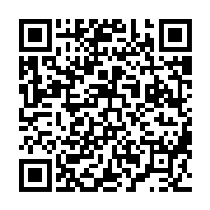 盘卧在地上也把除了灶台以外的厨房的地方全都给占上了二维码生成