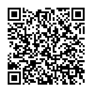 盘古文明联盟还是投入了最优秀的智慧个体以及浩瀚如星海的资源二维码生成