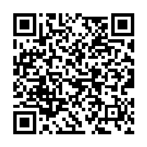 盘踞在神池顶端那条几十米长的雷火翼蛇吐着红信二维码生成