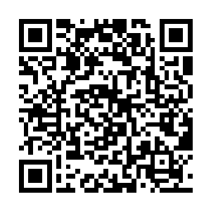 盛思颜只好跟着夏昭帝进了云阁最上层的那个小房间二维码生成