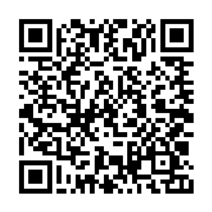 盛思颜和王氏为什么要带着小枸杞离开盛国公府二维码生成