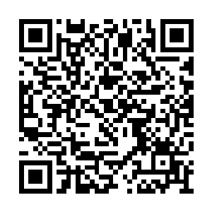 盛思颜的小手缓缓在痛不可仰的少年的脸上轻抚二维码生成