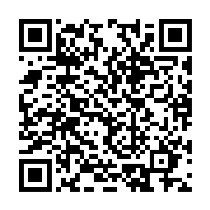 盛王府对于他们可是从来没有给过一文银子的补偿二维码生成