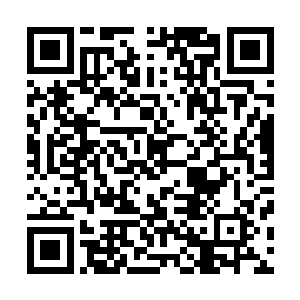 目光中流露出来的意思让大殿之内的每个人都看得清清楚楚二维码生成