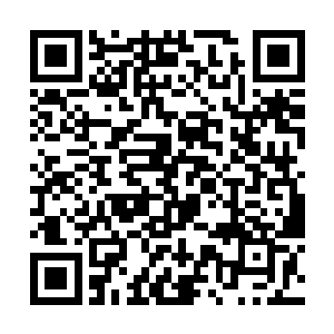 目光也直接落到了鸿蒙塔之中的紫明月几个人的身上二维码生成