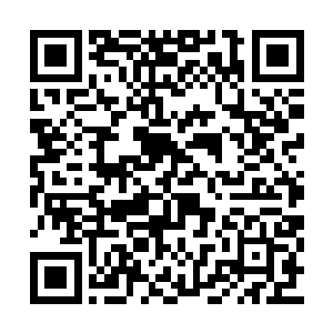 目光冷冷如一条蛰伏在暗中的眼镜蛇一般看着我二维码生成