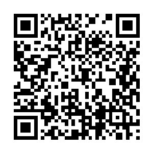 目光只全部落在了中央那被层层禁制包裹住的东西上二维码生成