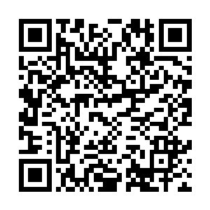 目光同样东张西望跟着两只彩羽鸟儿的苗毅忍不住惊奇一问二维码生成