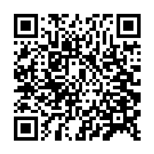 目光同样带着浓浓好奇的盯着前方那隐约可见的城池二维码生成