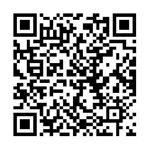 目光在魔法美少女和强大而神秘的翡翠号之间扫来扫去二维码生成