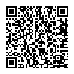 目光机械的从几个人的脸上一直转到他们背上的竹篓和手里的小铲子二维码生成