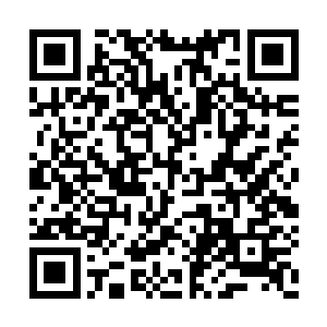 目光淡淡地望着那二十几个各方势力的首领说道二维码生成