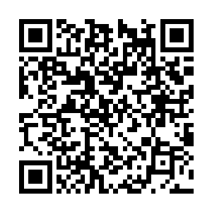 目光温柔而充满爱意地自四个孩子的脸上缓缓扫过二维码生成