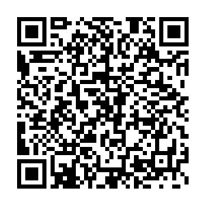 目光灼灼的盯着三王妃身后丫鬟怀里的那一个托盘里的那一盅东西二维码生成