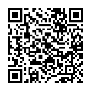 目光盯着自己面前的这一小堆魔核以及为数不多的一些金钱二维码生成
