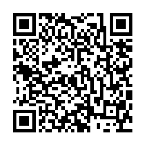 目光闪烁的不停在天算子法宝和下方的石笋林上扫视了起来二维码生成