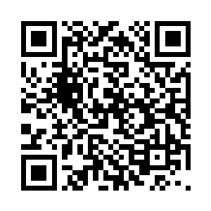 目光飞快的一扫正在摇摆不定的酒楼二维码生成