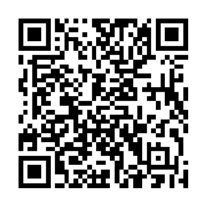 目前唯一的办法就是找到李老师儿子魂魄附身的这只黑猫二维码生成