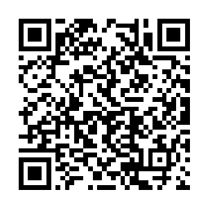 目前我们唯一能做的事情就是追回我们的经济损失二维码生成