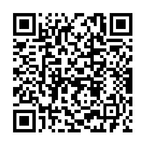 目前星空中也不可能有势力敢跟昊天域界唱对台戏二维码生成