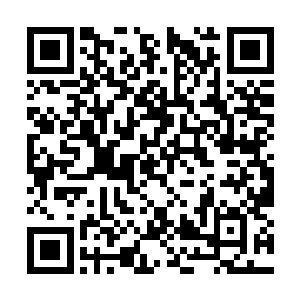 目前能够依赖的技术支援也就是柯本的远程协助了二维码生成