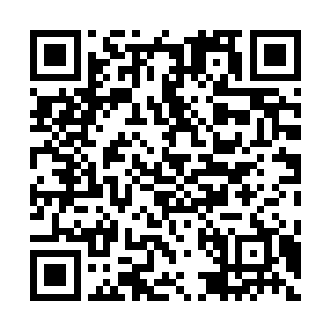 目前转轮星域至少派出了7000亿军队复仇者联盟对应的区域内二维码生成