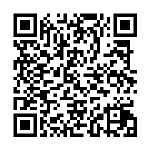 目的就是为了让你们能够将自己身体里的毒素减少一部分二维码生成
