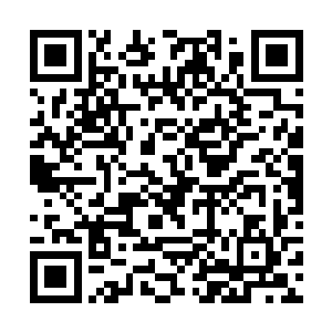 目的就是为了让张泽涛父亲身上的第二道因果也出现二维码生成
