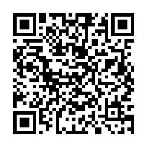 目的就是希望青灵一族的人沉底臣服与彩蝶跟禾星二维码生成