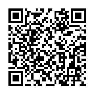 目睹父亲坚决回绝了那么多上门做说客的王公大臣二维码生成