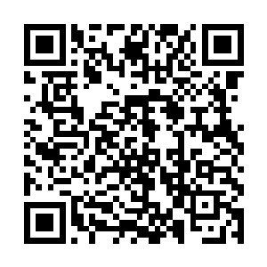 直到他们看到曹昂和徐晃风驰电掣一般猝是交马起来二维码生成
