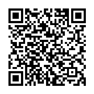 直到听夏夜说同学聚会上有人拿樊青雨之前那辆蓝色奥拓说事儿二维码生成