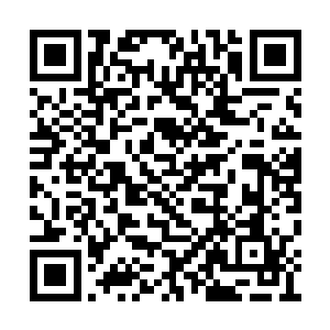 直到大黄狗已经走到了他身后一米左右的位置时二维码生成