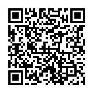 直到对方一指寒光穿刺她头顶忽然落下了一条蜈蚣身上二维码生成