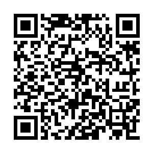 直到将那枝条上面的树皮搓成了麻绳一般的东西二维码生成