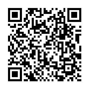 直到束灵锁化为小小的一条锁链缠绕在张潇晗的左手腕上二维码生成