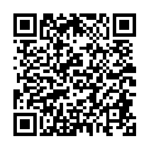 直到此刻才反应过来自己见到她时那种轻柔的感觉为何物二维码生成