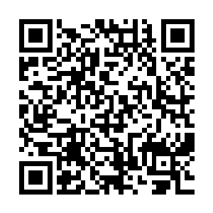 直到气罩之内的草药粉末都进入了由生命之气形成的符箓之内二维码生成