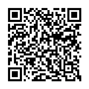 直到现在都没有被赶出黑土城也算是够幸运的了二维码生成