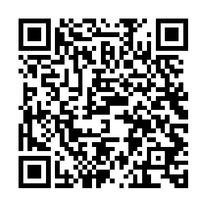 直到现在55开已然成为了整个频道人气最高的几名主播之一二维码生成